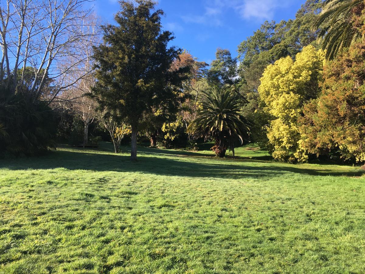Te Puia Hot Springs Hotel Buitenkant foto